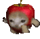 applecatrun-apple-cat