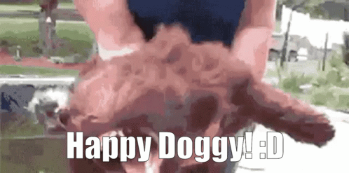 happy doggy