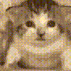 gato-explosion