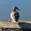 101thducki