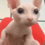 alexzinyew