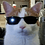 bitmine666