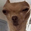 sambobingtonthe3rd